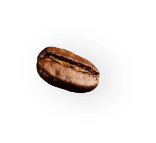 demo-attachment-41-coffee-beans-P4MXYZD7@2x